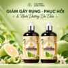 Combo Tiết Kiệm 2 Chai Dầu Gội Vỏ Bưởi AmeGreen (2x600ml) Ngăn Rụng Tóc & Nuôi Nang Tóc